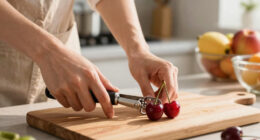 10 Best Cherry Pitter in 2026