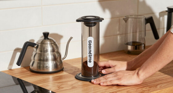 5 Best Aeropress in 2026