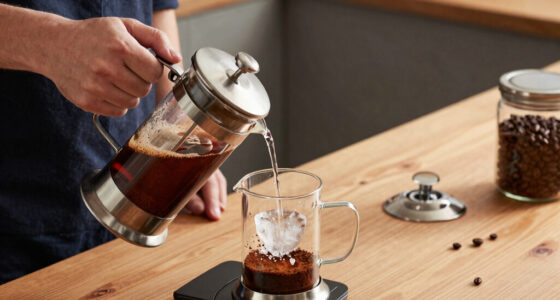 8 Best French Press For Cold Brew in 2026