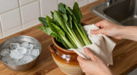 How to Keep Food Cold Without a Refrigerator