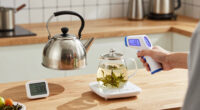 Loose Leaf Tea Brewing: Temperatures, Times, and Tools