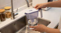 10 Best Portable Water Filter in 2026