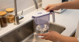 10 Best Portable Water Filter in 2026
